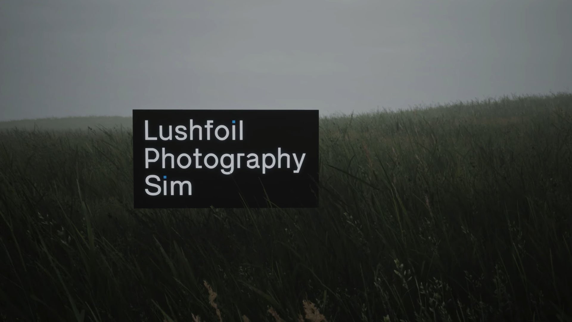 Lushfoil Photography Simは、PS5、Xboxシリーズ、およびPC用に4月15日に発売されます